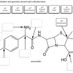 Predict the hybridization and geometry around each indicated atom.